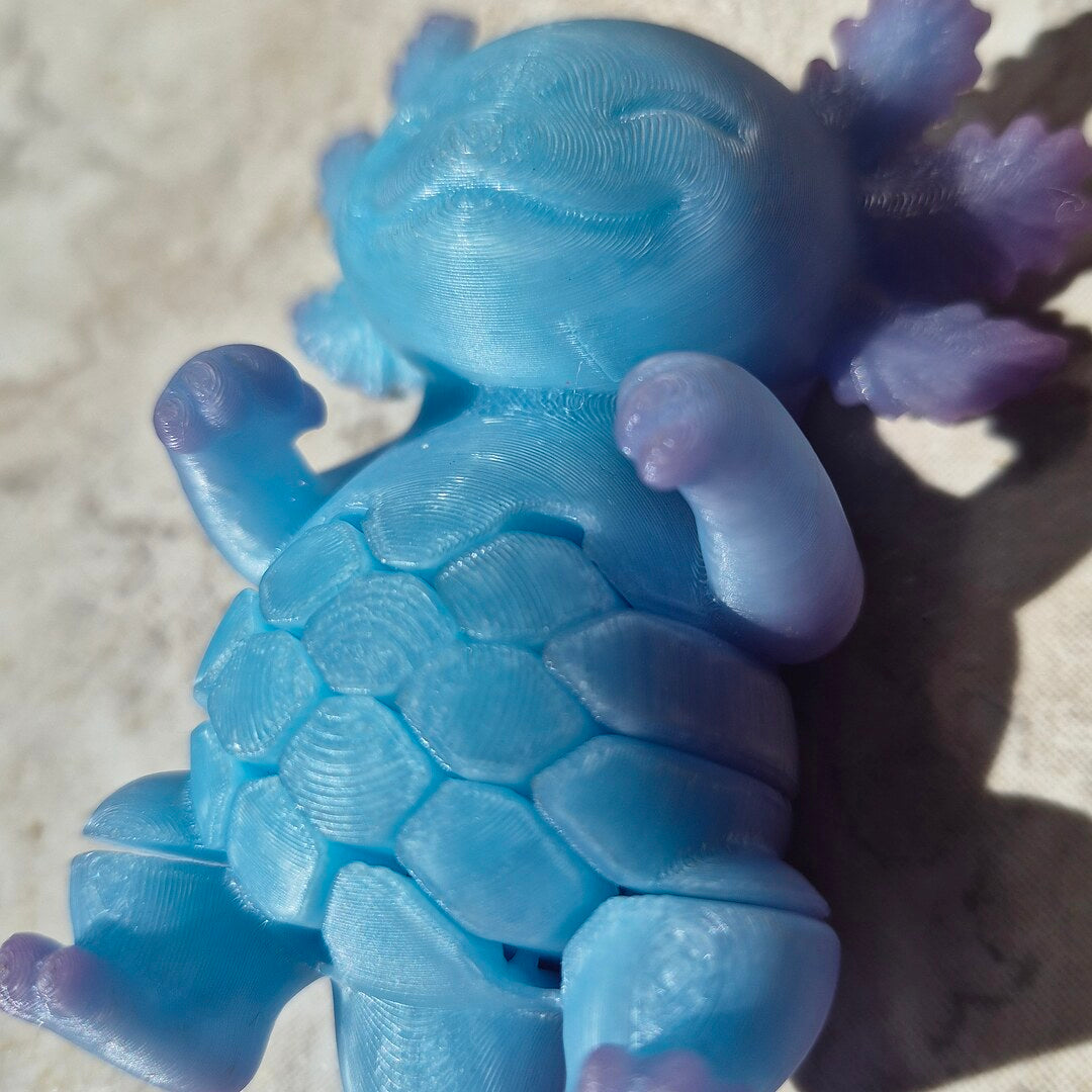 Axolote Sense azul: a cor que ele fica quando esquenta na mão ou no sol